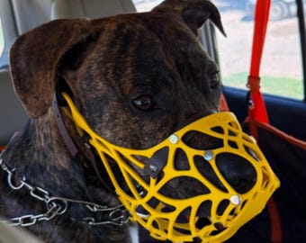 Maßgefertigter Komfort-Maulkorb für Pitbull-Terrier, verstellbare Biothane-Riemen G4