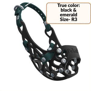 Könnte beinhalten: Ein schwarzer und smaragdgrüner Maulkorb für Hunde mit gitterartigem Design und silberfarbenen Nieten. Der Maulkorb verfügt über einen verstellbaren Riemen mit Metallschnalle und trägt den Text True color: black & emerald Size- R3 und DeKus.