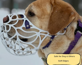 Humane Dog Muzzle, Comfort Basket Muzzle for German Shepherd, Labrador and Corgi Walking G5