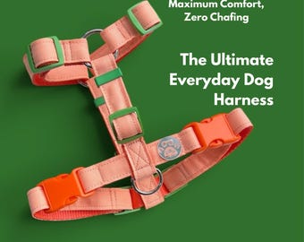 Buntes Hundegeschirr, verstellbares Welpentrainings- und Spaziergangzubehör für Zwergschnauzer und Dackel