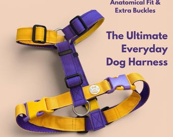 Alternative zum Hundehalsband, Klein, Mittel, Groß, Welpentrainingsgeschenk für Chihuahua und Cocker Spaniel