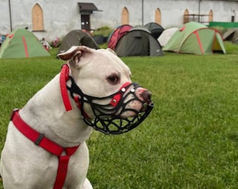 Maßgefertigter Komfortmaulkorb für Pitbull Terrier, tierschonendes Trainingsgerät (3D-gedruckt) G4