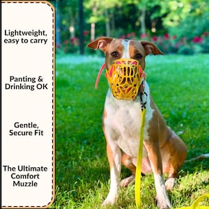 May include: A brown and white dog wearing a bright yellow, cage-style muzzle with pink accents. The image includes text: Lightweight, easy to carry, Panting & Drinking OK, Gentle, Secure Fit, and The Ultimate Comfort Muzzle.