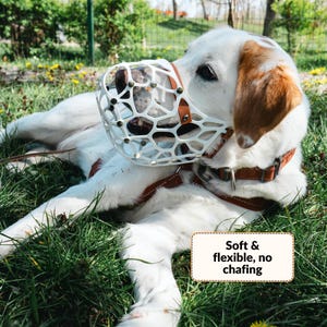 May include: A white, cage-style dog muzzle with a geometric, honeycomb-like pattern and brown leather straps, worn by a white and tan dog. The muzzle features metal rivets and includes a text overlay that reads: Soft & flexible, no chafing.