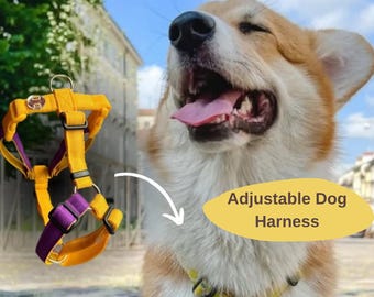 Hundegeschirr-Alternative für Welpen, Welpen-Spaziergangset, Geschenk für Hundetrainer für Malteser, Corgis, Dackel
