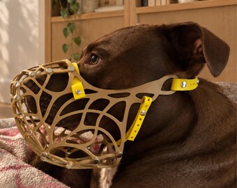 Handgefertigter Maulkorb für große Hunde, humane Maßanfertigung für Neapolitanische Dogge, Bullmastiff, Cane Corso G6