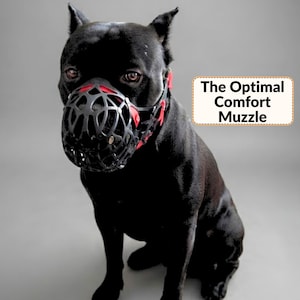 Peut inclure: Un chien noir portant une muselière panier noire et rouge avec un motif géométrique en treillis. La muselière présente des accents rouges sur les sangles latérales. Un encadré affiche le texte The Optimal Comfort Muzzle.