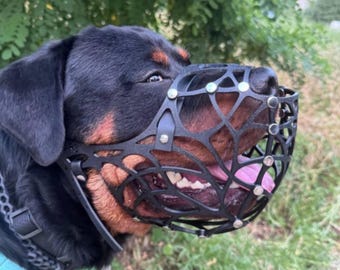 Handgefertigter Maulkorb für große Hunderassen, maßgefertigt, Cane Corso, Dogue de Bordeaux G6
