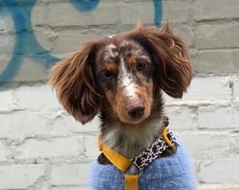 Hundegeschirr, stilvolles Geschenk für Welpenerziehung, verstellbares Accessoire für Spaziergänge mit dem Hund