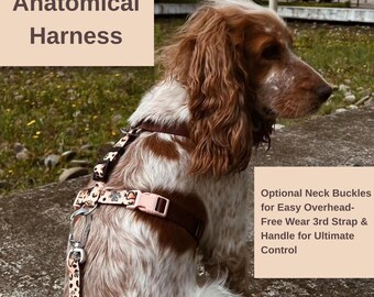 Maßgefertigtes Hundegeschirr, Führset für Cavalier King Charles Spaniel, Basset Hound, Deutscher Schäferhund