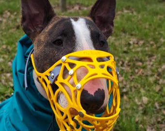Maßgefertigter Maulkorb und Gassi-Set für Pitbulls und Bullterrier (G7)