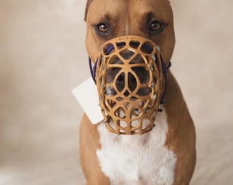 Komfort-Maulkorb für Bullterrier und Rottweiler | Maßgefertigte, tierfreundliche Hundeausrüstung (G6)