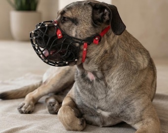 Maßgeschneiderte, tierfreundliche Hundeausrüstung, bequem, groß, handgefertigt, Cane Corso, Mastiff, Rottweiler (G6)