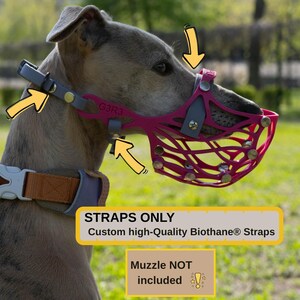 Biothane Straps for Whippet Muzzle, Replacement Strap Kit, Custom Coloured Dog Accessories