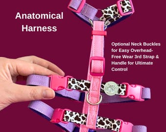 Anatomisches Hundegeschirr, Set für den Spaziergang mit Haustieren, Zubehör für kleine und mittelgroße Hunde (Maßanfertigung)