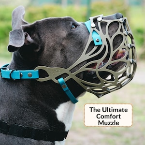 May include: A dark gray dog wearing a tan, cage-style muzzle with a complex, organic cutout pattern and silver rivets. The muzzle features bright blue straps and the text G4R6. A text box reads: The Ultimate Comfort Muzzle.