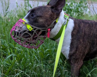 Maßgefertigter Komfortmaulkorb für Bullterrier und Pitbulls (G7)