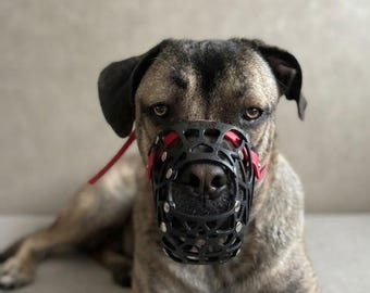 Maßgefertigter, 3D-gedruckter Hundemaulkorb für große Hunderassen | Humane Komfortpassform (G6)