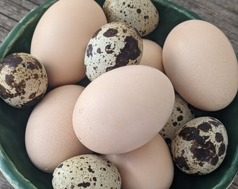 Blown Eggs, Chicken Eggs, Quail Eggs, Bantam Eggs, Easter Egg Hunt