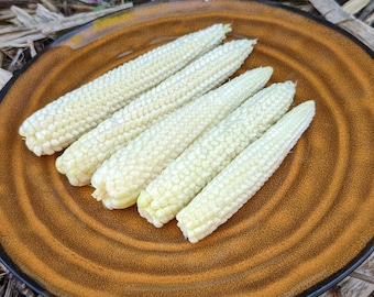 Baby Corn seeds, Heirloom open-pollinated