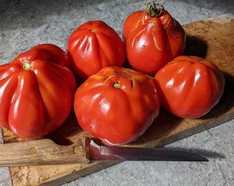 German Red Strawberry tomato seeds, Heirloom non-GMO slicing paste tomato