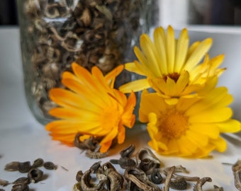 Calendula seeds, Heirloom flower seed