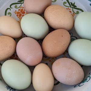 May include: A white ceramic bowl with a colorful floral pattern holds a collection of brown, beige, and light blue eggs.
