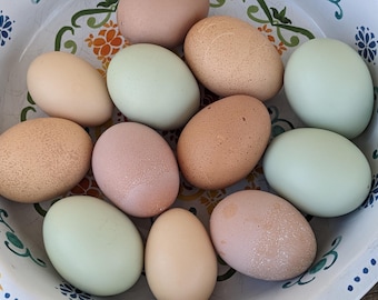 Ovos soprados, ovos de Páscoa, 1 dúzia (12)