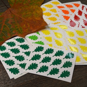 May include: Five sheets of stickers with oak leaf designs. The stickers are in various colors, including green, yellow, orange, and red. The stickers are arranged in a fan shape on a wooden surface.