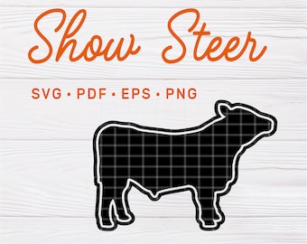 SVG, PDF, EPS, & png File | Show Steer svg, Show Steer svg, Show Steer Craft File, Polled Steer Cut File