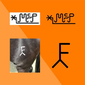 May include: A black and white image of a brand mark with the text "*MSP" and a horse with a white brand mark of the letter "F" on its side.