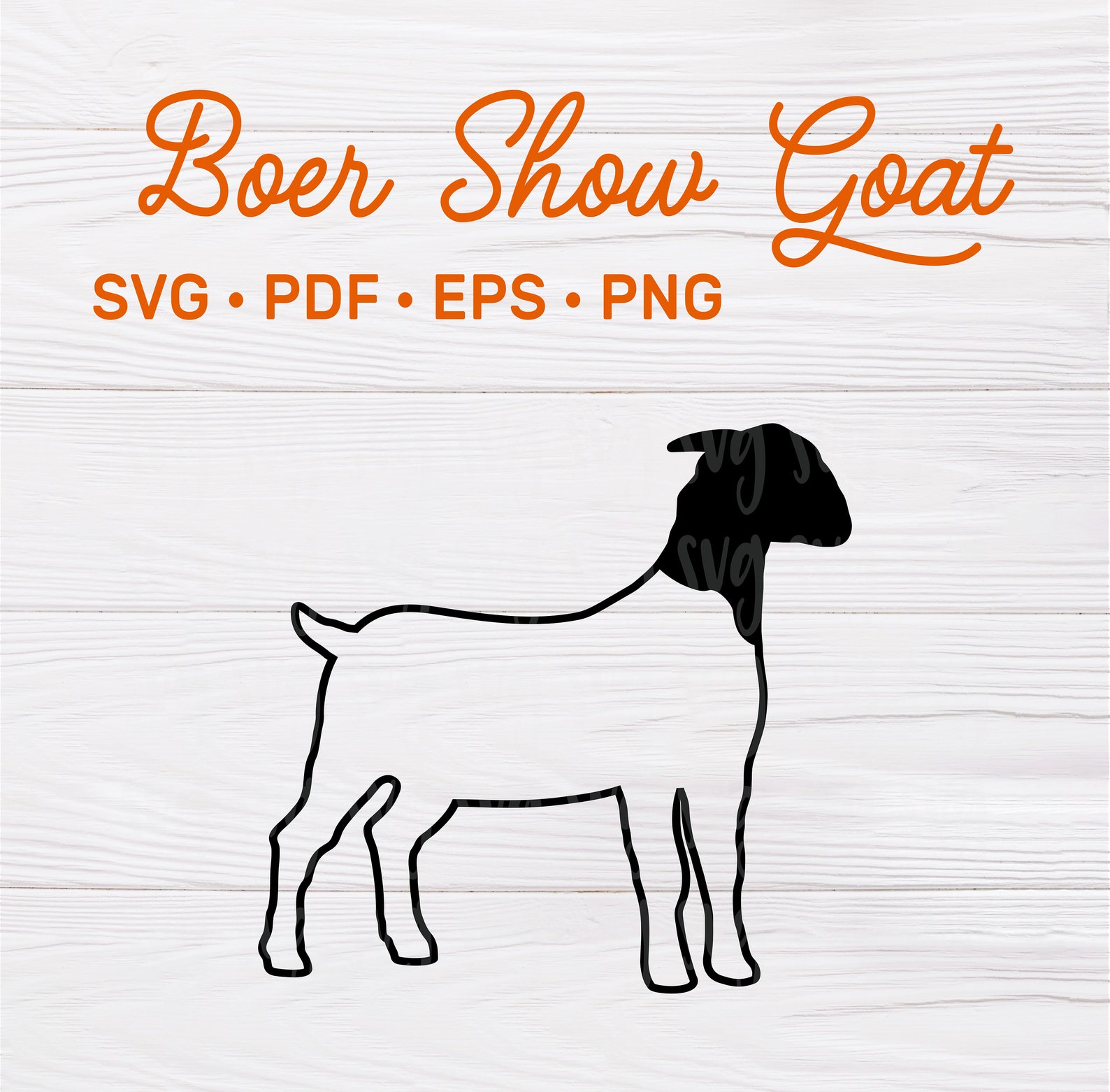 Vector Show Goat SVG, PDF, EPS, & Png File | Boer Show Goat Svg, Show Goat Svg, Goat ...