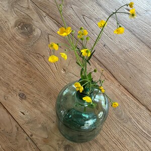 Puede incluir: Un jarr&oacute;n de cristal verde, redondo y transparente, con un cuello estrecho que contiene un ramo de flores de ran&uacute;nculo de color amarillo brillante con tallos verdes finos y peque&ntilde;os capullos, con un dise&ntilde;o sencillo y claro.