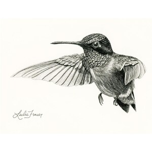 以下が含まれることがあります： 翼を広げて飛んでいるハチドリの白黒のグラファイト画。鳥は詳細な羽の質感と長く細い嘴が特徴です。左下の隅には、筆記体でLeslie Fraserという署名が書かれています。