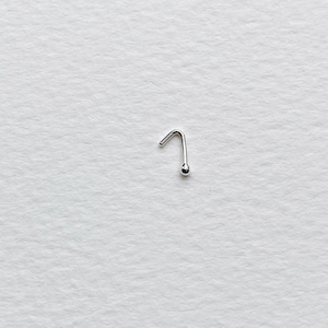 May include: A silver nose ring with a small ball at the end.