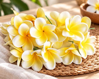 Könnte beinhalten: Ein Bündel künstlicher Plumeria-Blüten mit jeweils fünf abgerundeten Blütenblättern. Die Blütenblätter verlaufen von einem leuchtend gelben Zentrum zu weißen Rändern. Die Blüten sind an dünnen grünen Stielen befestigt und bilden ein dichtes Arrangement.