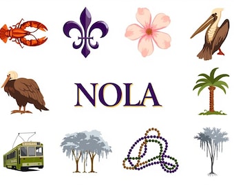 New Orleans SVG Bundle Louisiana Crawfish Pelican Fleur De Lis Cajun Bayou PNG Files Cricut Mardi Gras Southern Sublimation