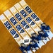 2023 Senior night megaphone sashes (optional bow) - add details in notes to seller or msg me - sports available instead of megaphone 