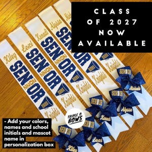 2026 "The Best Seller" senior night megaphone sash (optional bow) - sports images also available in place of megaphone (one sash)