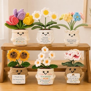 Pot de fleur de myosotis au crochet, plante en forme de coeur, cadeau de soutien, pot de fleur personnalisé
