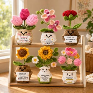 May include: Six crocheted potted plants with smiling faces on a two-tier wooden shelf. Each pot holds a different flower arrangement and a small white sign with encouraging text, including phrases like "Beautiful girl" and "Emotional Support Plant."