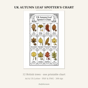 May include: A UK Autumn Leaf Spotter's Chart featuring twelve illustrated tree leaves in a grid. Each section displays a leaf, its common name, scientific name, and seasonal months. The chart includes Oak, Ginkgo, Rowan, Beech, Horse Chestnut, Silver Birch, Sweet Chestnut, Field Maple, Aspen, Sycamore, Hawthorn, and Ash. The design is black and white with colored leaf illustrations.