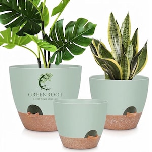 May include: Three sage green planters with a speckled terracotta-colored base and a drainage hole. The largest planter features the text GREENROOT SHOPPING ONLINE with a tree logo. Two planters contain green plants, one a monstera and one a snake plant.