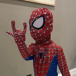 May include: A red, blue, and black Spider-Man costume. The costume features a red web pattern on the upper body and head covering, with large white eye coverings. The chest has a black spider emblem, and the lower body is blue.