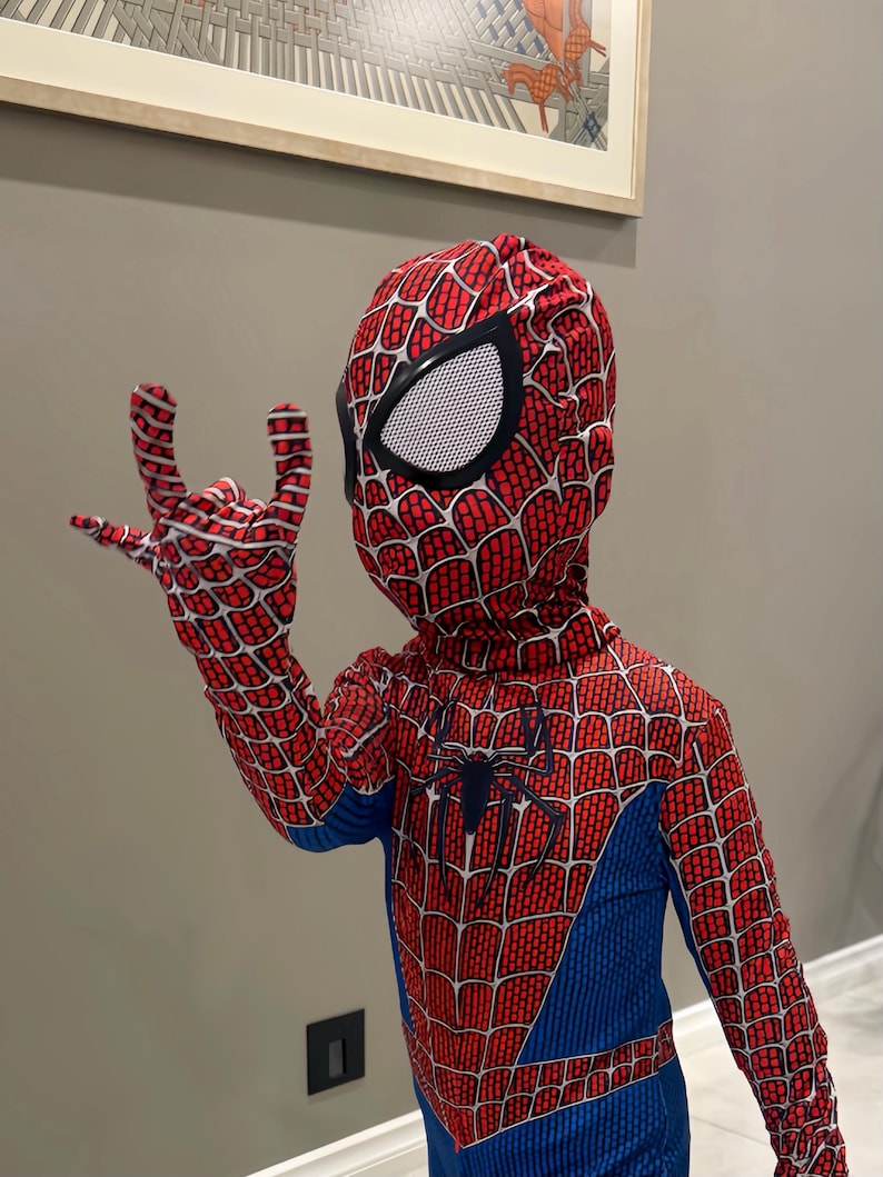 May include: A red, blue, and black Spider-Man costume. The costume features a red web pattern on the upper body and head covering, with large white eye coverings. The chest has a black spider emblem, and the lower body is blue.