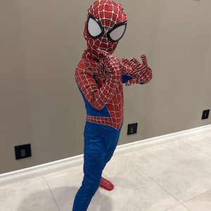 May include: A full-body Spider-Man costume. The costume features a red and blue color scheme with a web pattern. The mask has white eye coverings. The costume includes a head covering, gloves, and foot coverings.