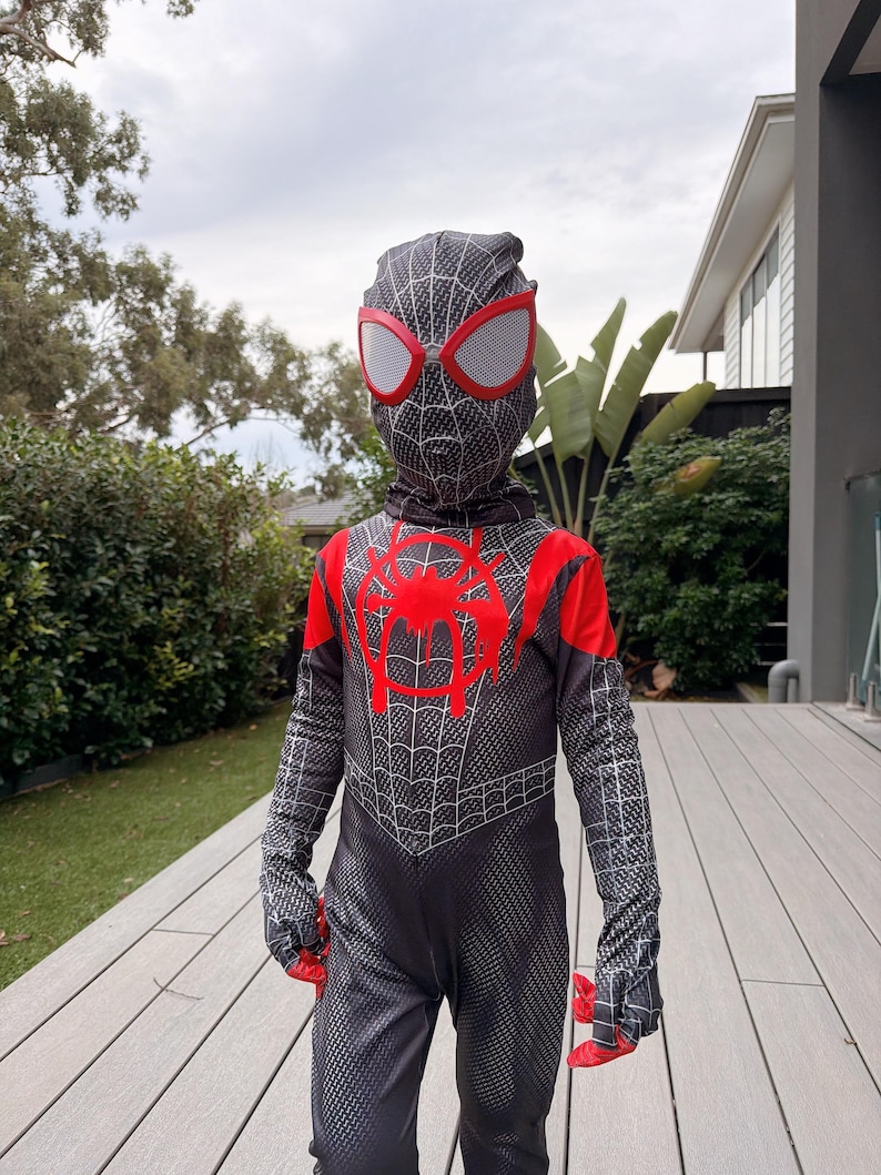 May include: A black and gray Spider-Man costume with red accents. The costume features a web pattern, red eye mask, and red spider emblem on the chest. The gloves and the top of the shoulders are red.