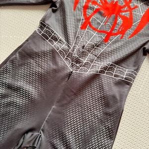 May include: Black and gray jumpsuit with a spider web design and a red spider emblem on the back. The jumpsuit has a textured pattern and a hood. The design is reminiscent of a superhero costume.