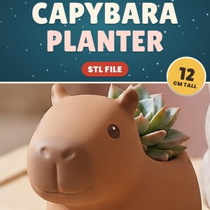 Capybara Planter STL, Cute Vinyl Toy Style Succulent Pot, 3D Printable Capybara Cache Pot File, Digital Download