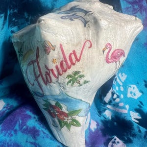 May include: A large off-white conch shell featuring a hand-painted design with the word Florida in red script. The shell displays illustrations of two dolphins, a pink flamingo, a yellow sun, a palm tree, and a cluster of red hibiscus flowers.